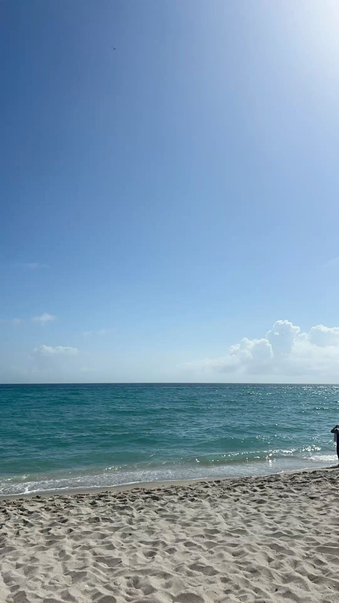 Sunny Beachfront with Clear Blue Sky and Gentle Ocean Waves