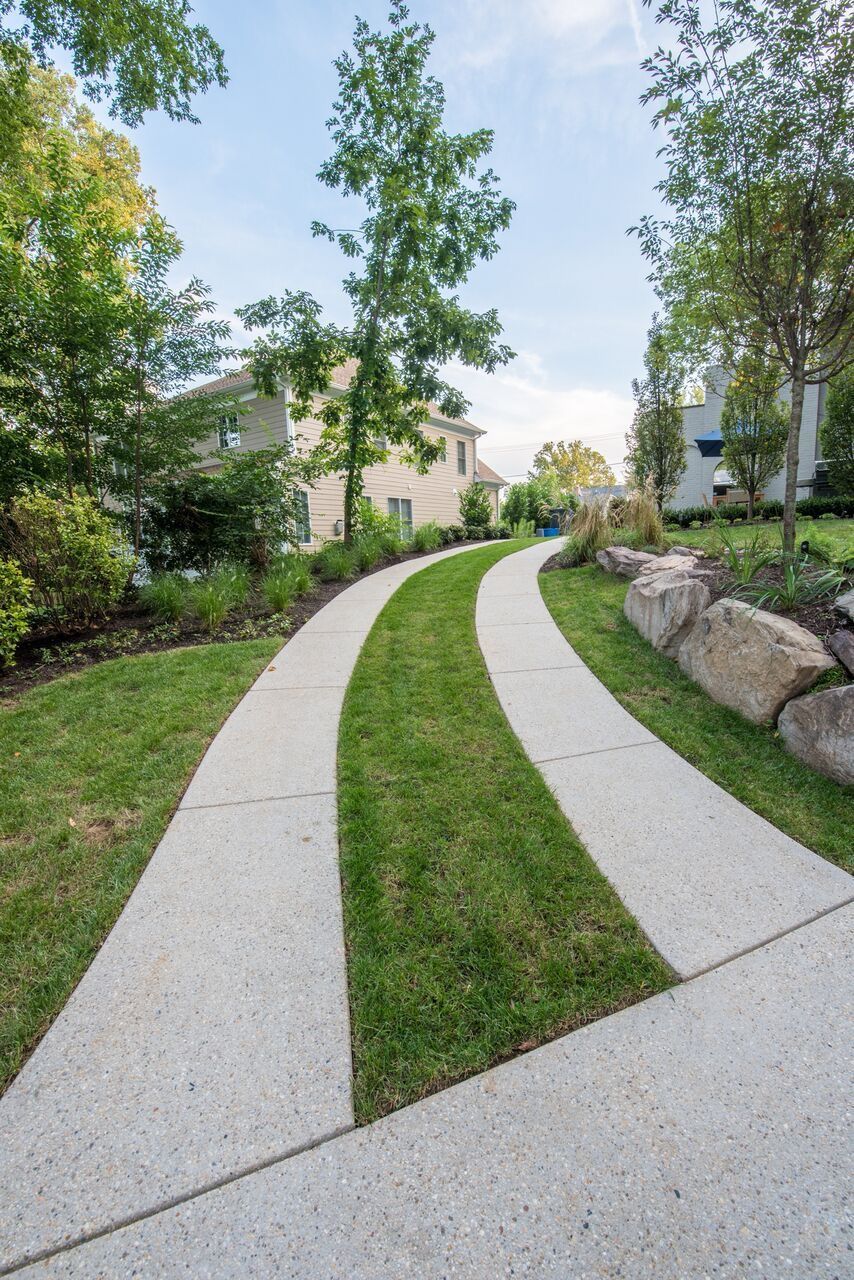 Curved Concrete Walkway with Grass Strip in Lush Front Yard Landscape